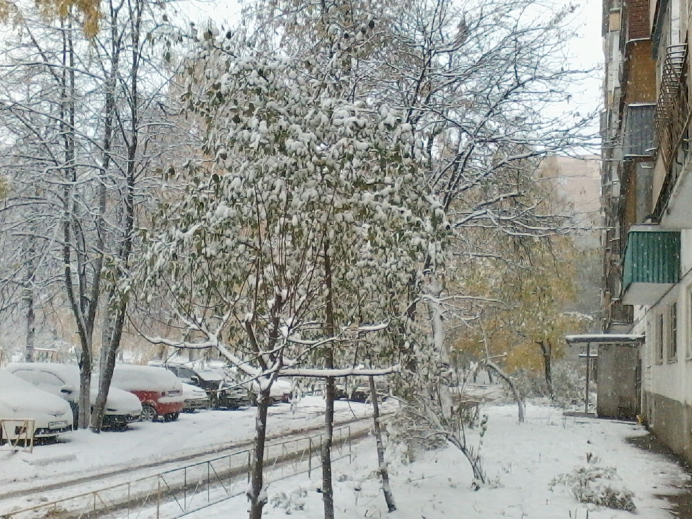 Первый снег.