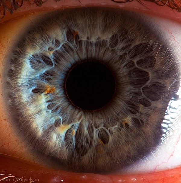Глаза людей  