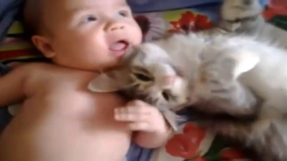 Кот и Малыш