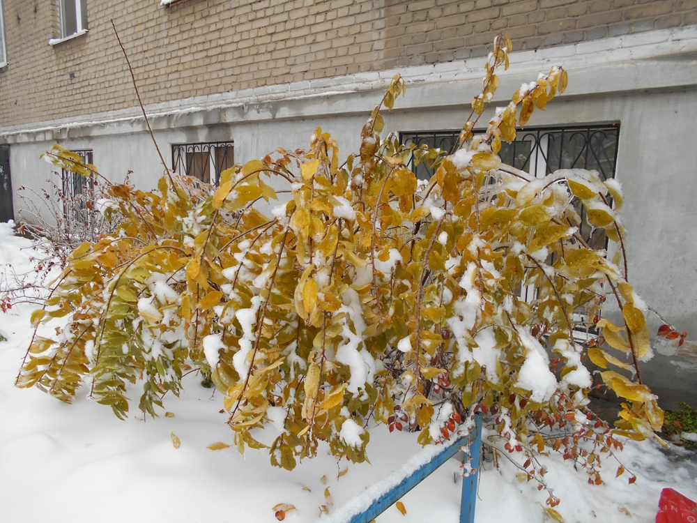 Ледяной дождь в Челябинске