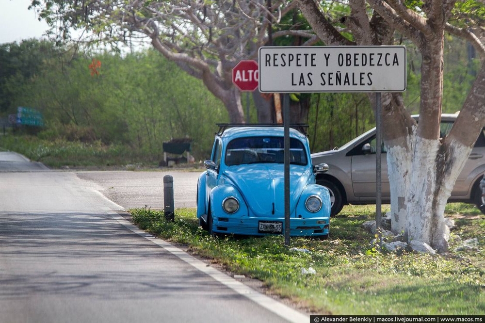 Автомобильная легенда на дорогах Мексики