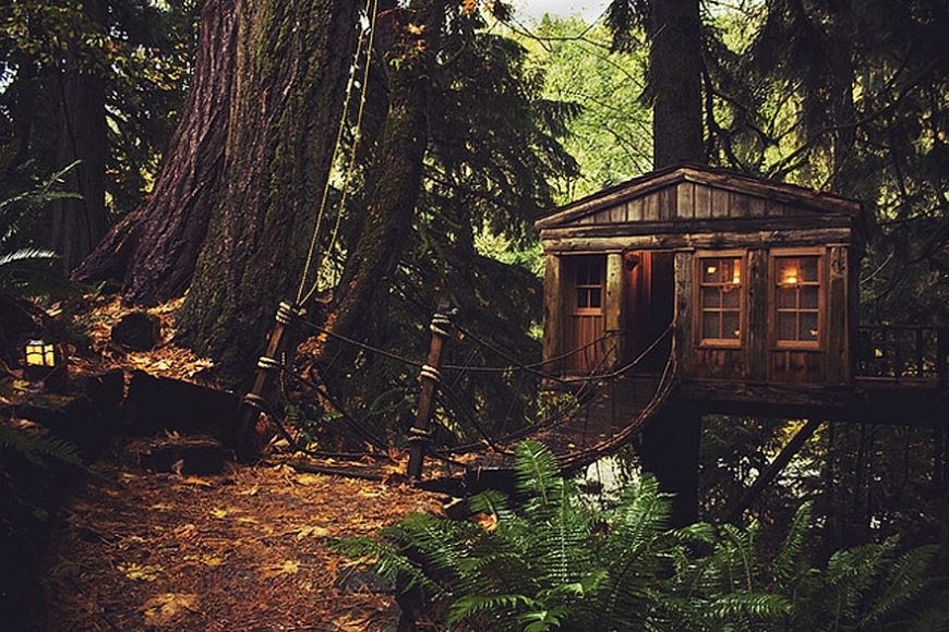 Фотографии домов в лесу