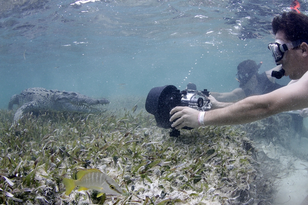 Один день в рыбацкой хижине в Карибском Море с морскими крокодилами