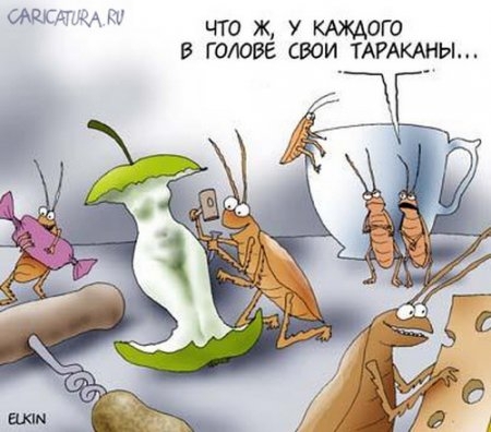 Правда о тараканах