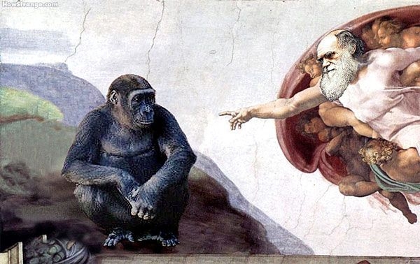 Теория Дарвина: знамя атеизма или?..