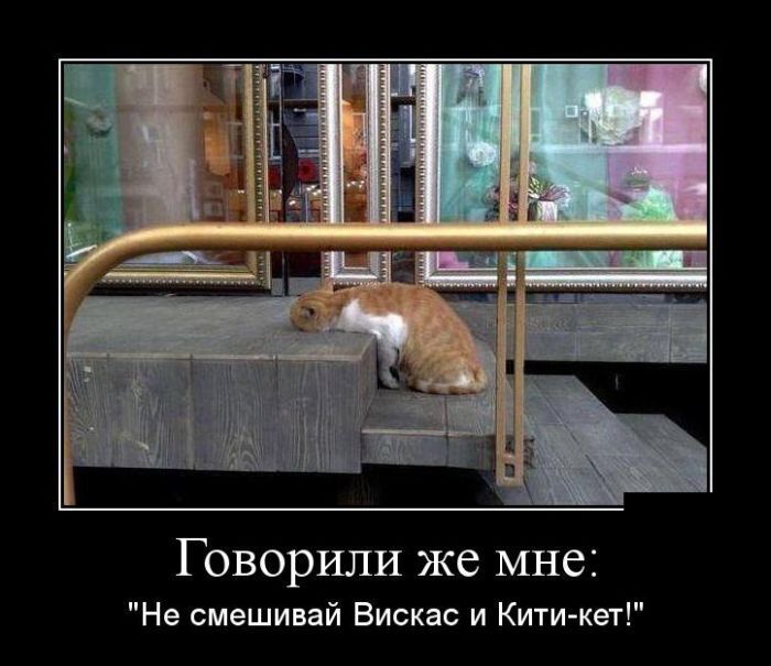 Демотиваторы