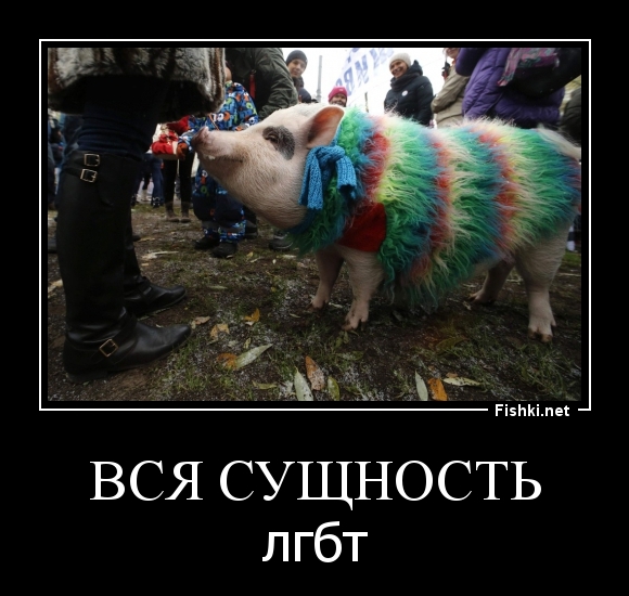 Вся сущность