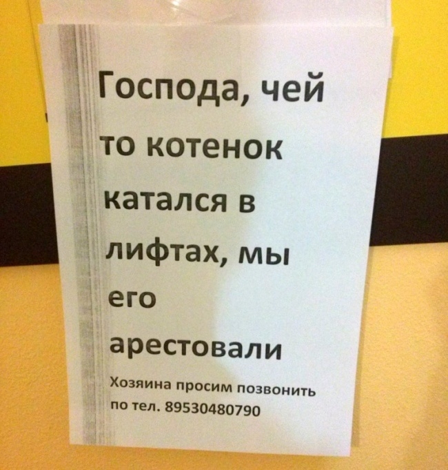 Шедевральные объявления