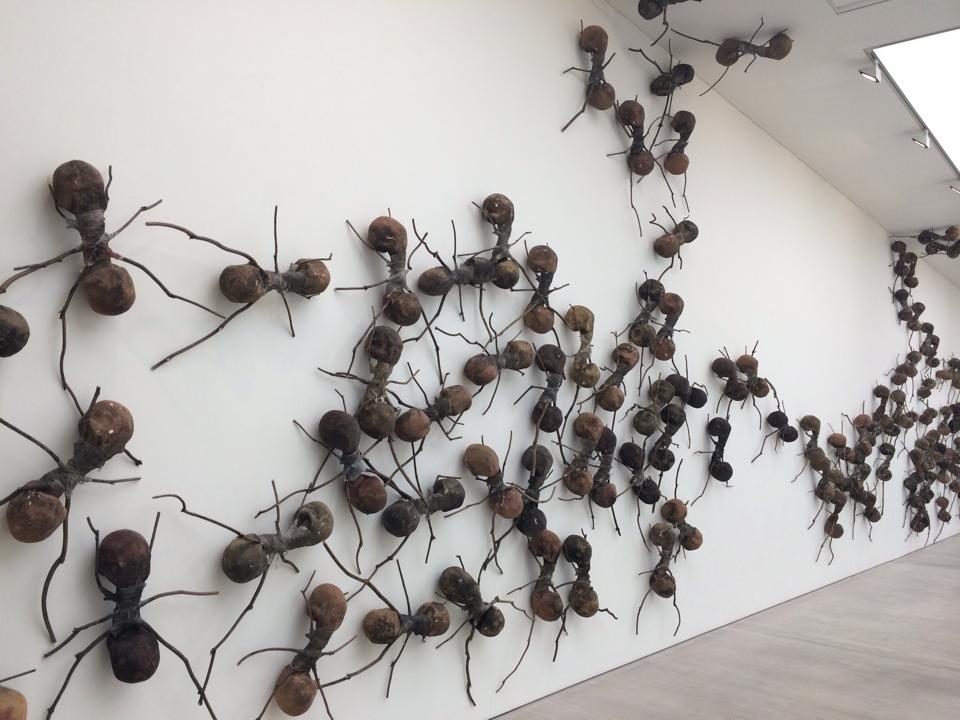 Стена муравьев
