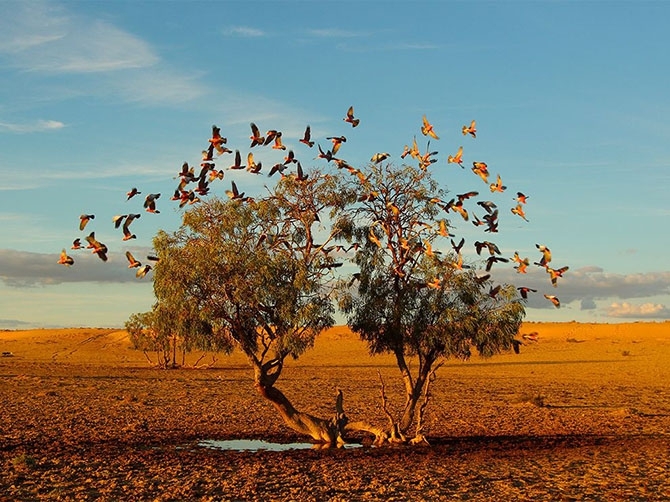 Лучшие фотографии National Geographic октября 2014