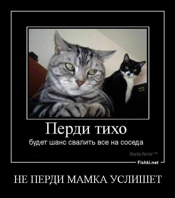 не перди мамка услишет