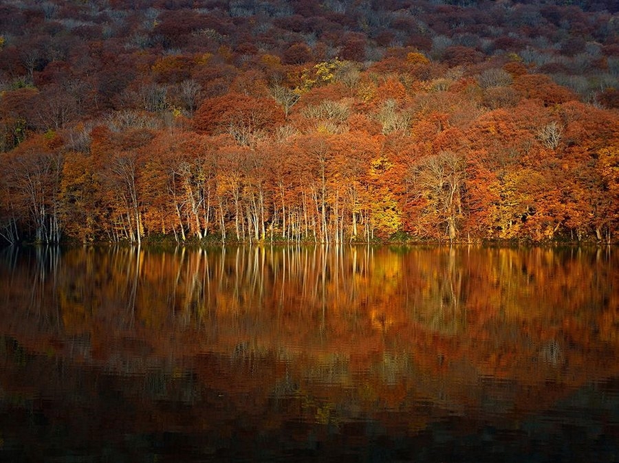 Потрясающие фотографии за октябрь от National Geographic