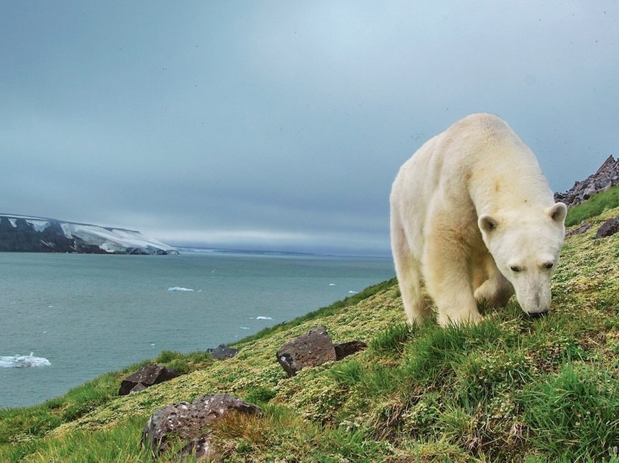 Потрясающие фотографии за октябрь от National Geographic