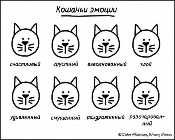 25 забавных комиксов про нашу жизнь