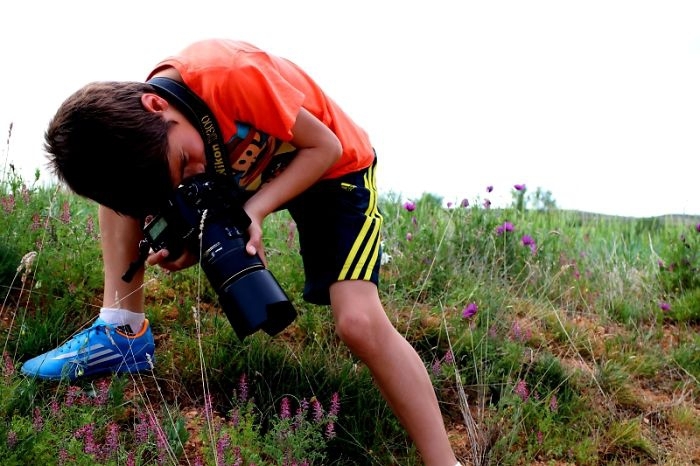 Лучший юный фотограф дикой природы 2014
