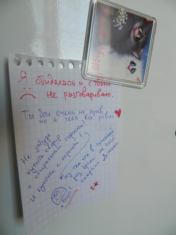 Прикольные записки на холодильнике