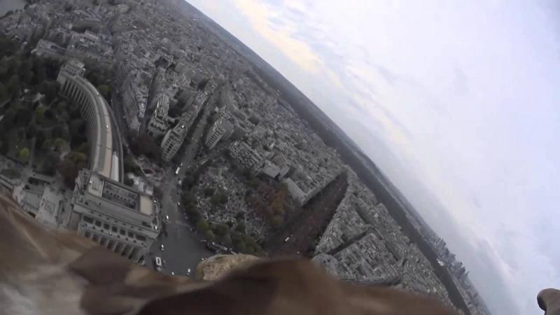 Eagle flies over Paris with Sony Action Cam Mini 