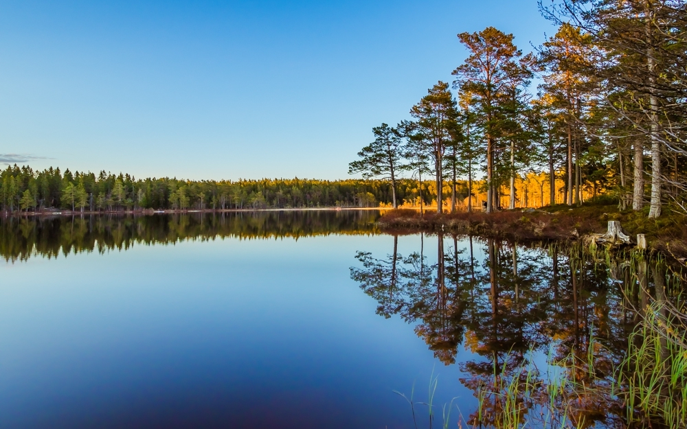  Пейзажи отраженные в воде