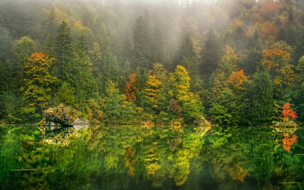  Пейзажи отраженные в воде