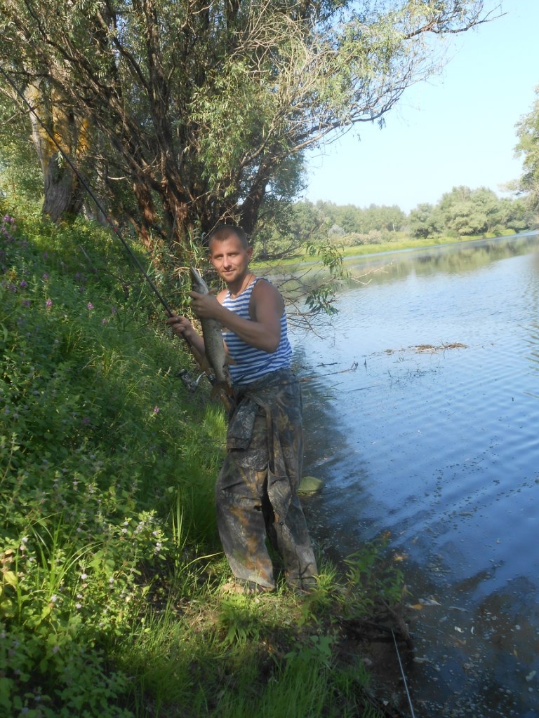 Как мы ездили на рыбалку в Астраханскую область