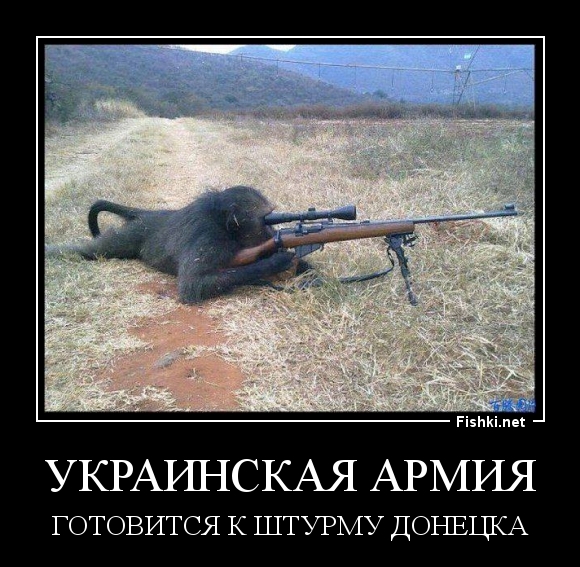 Украинская армия