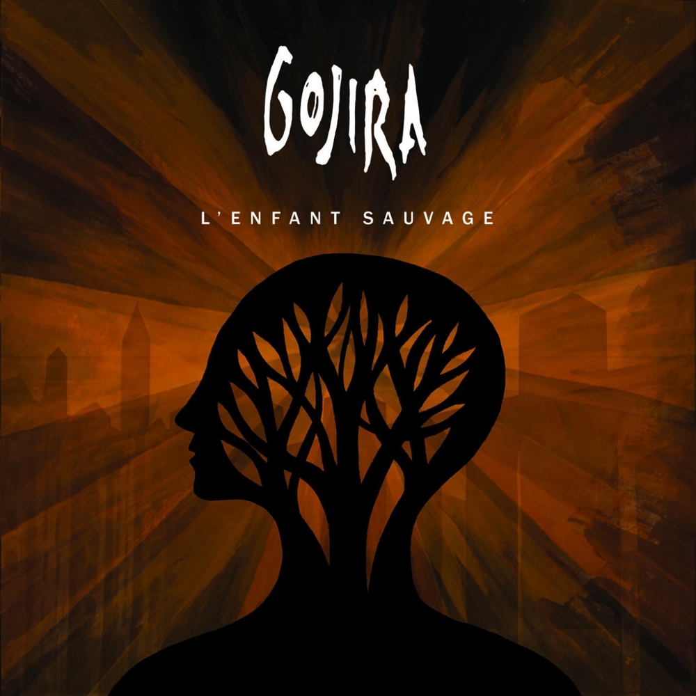 Gojira - L'Enfant Sauvage (guitar cover) 