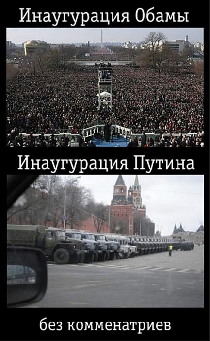 Триумф моли
