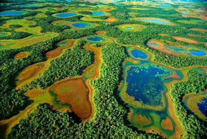 Пантанал – самые большие в мире пресные водно-болотные угодья