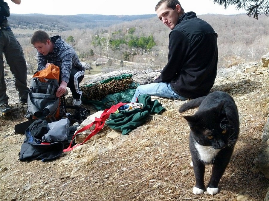 Кот-скалолаз, покажет тропу 