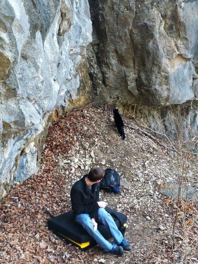 Кот-скалолаз, покажет тропу 