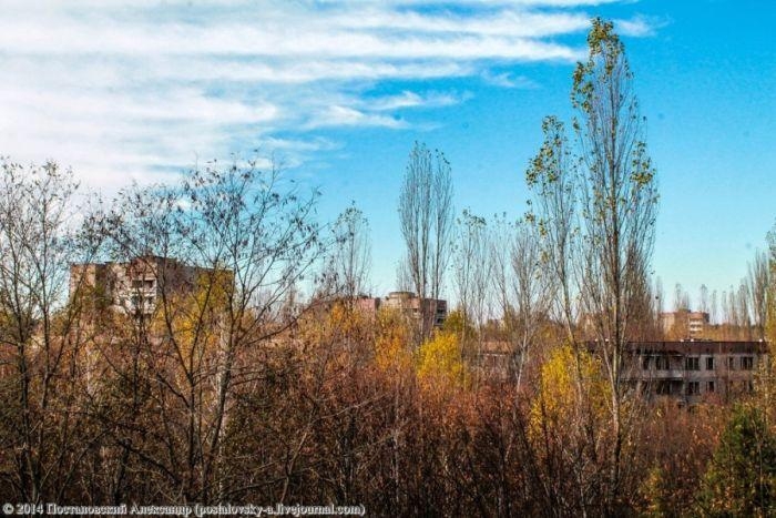 Осенняя пора в Припяти