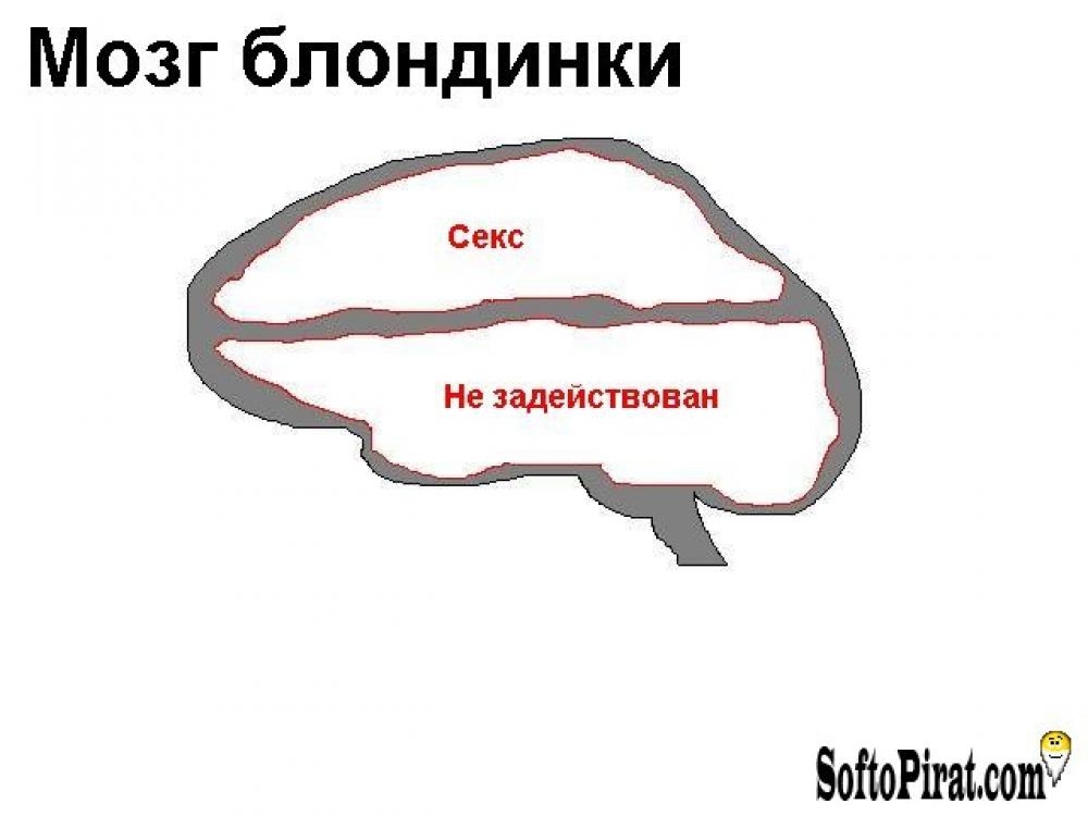 Мозг женщины работает по другому?