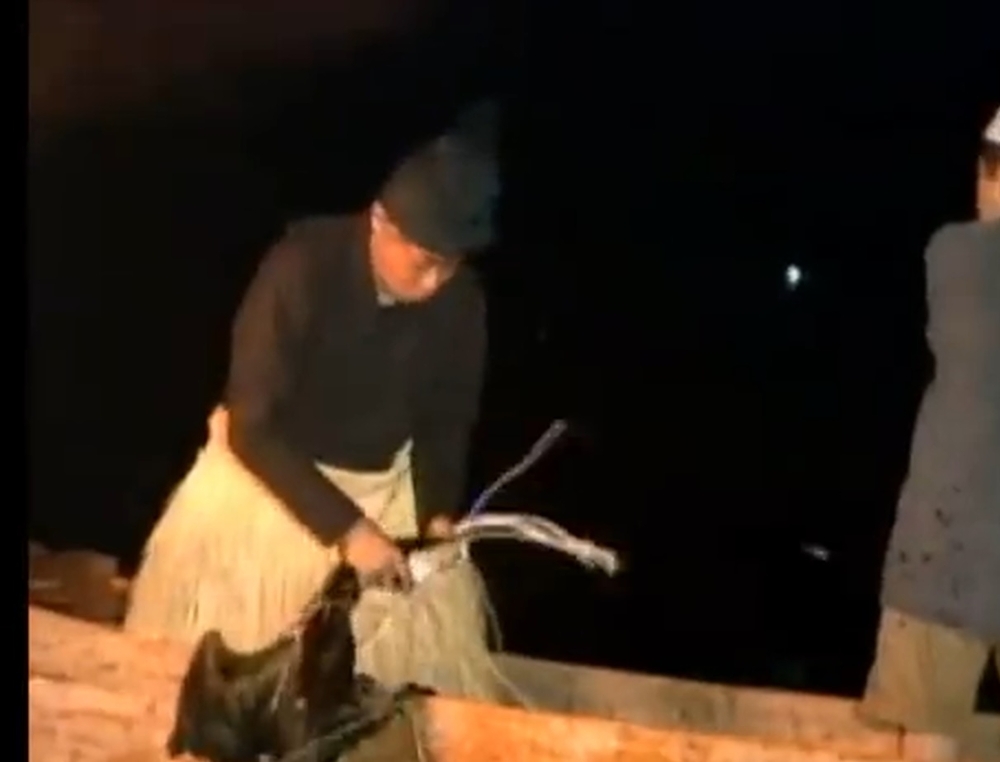Рыбалка с использованием птиц