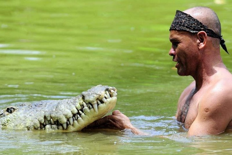 Двадцать лет в пасти крокодила