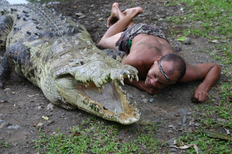 Двадцать лет в пасти крокодила