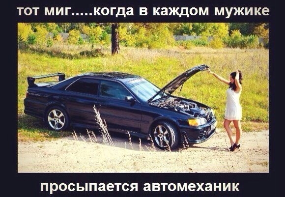 Веселые автокартинки