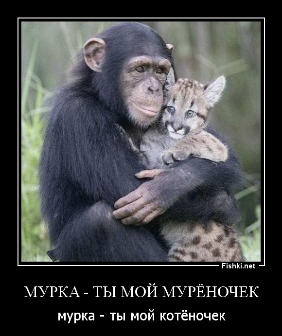 Мурка - ты мой мурёночек