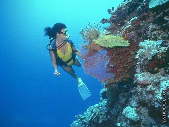 Находки, которое море хранило веками, и не только