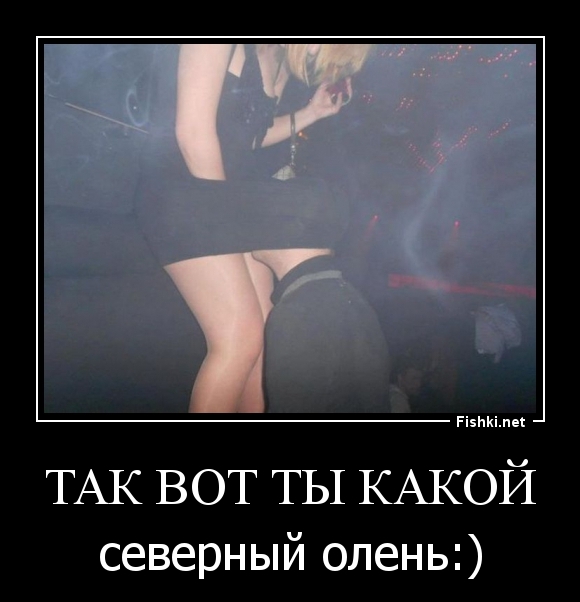 Так вот ты какой