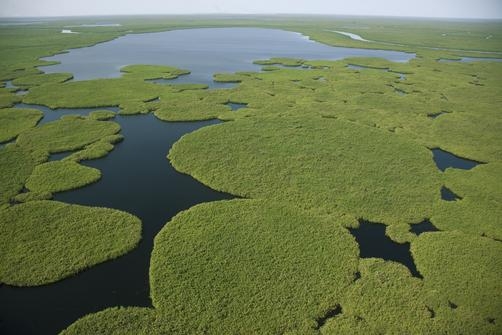 Судд — самое большое болото Мира