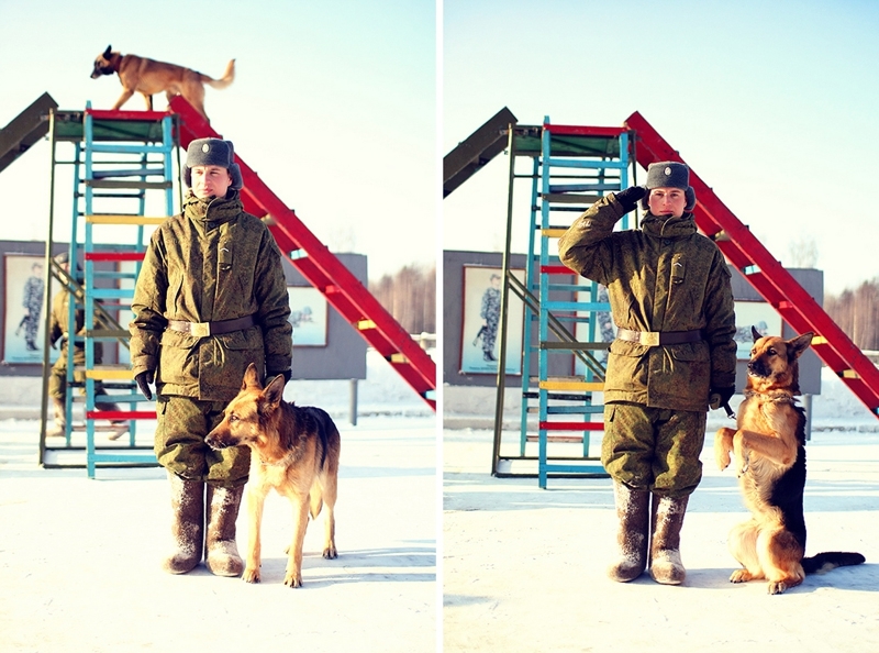 Как собаки служат в армии