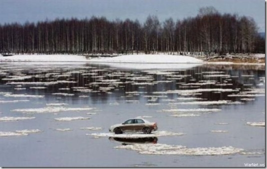 Где-то в стране чудес