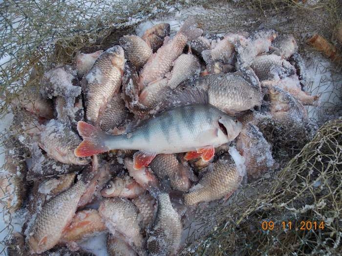 Мунха - традиционная зимняя рыбалка якутов