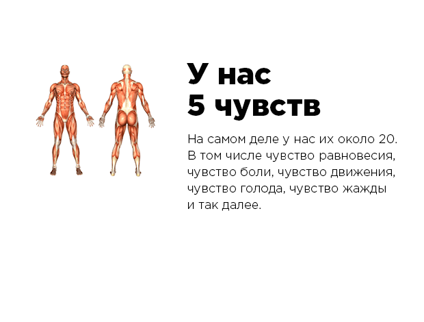  35 «фактов» рунета, которые не имеют ничего общего с истиной