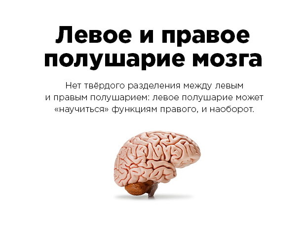  35 «фактов» рунета, которые не имеют ничего общего с истиной