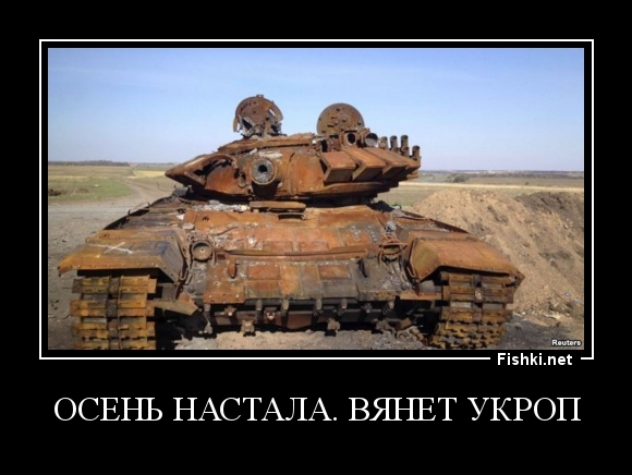 ОСЕНЬ НАСТАЛА. ВЯНЕТ УКРОП