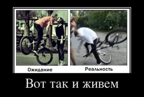 Демотиваторы