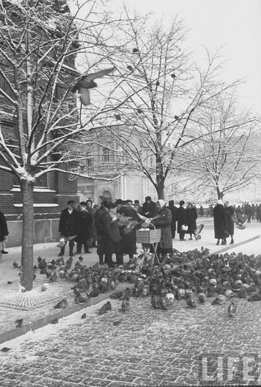 Москва 1959 года глазами американца 