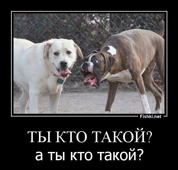 ты кто такой?