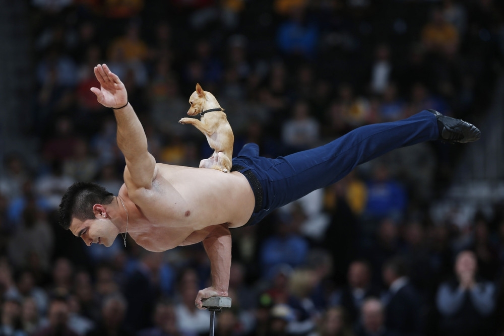Гимнаст Кристиан Стойнев балансирует на одной руке во время показательного выступления